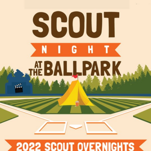 DD Scout Night Logo